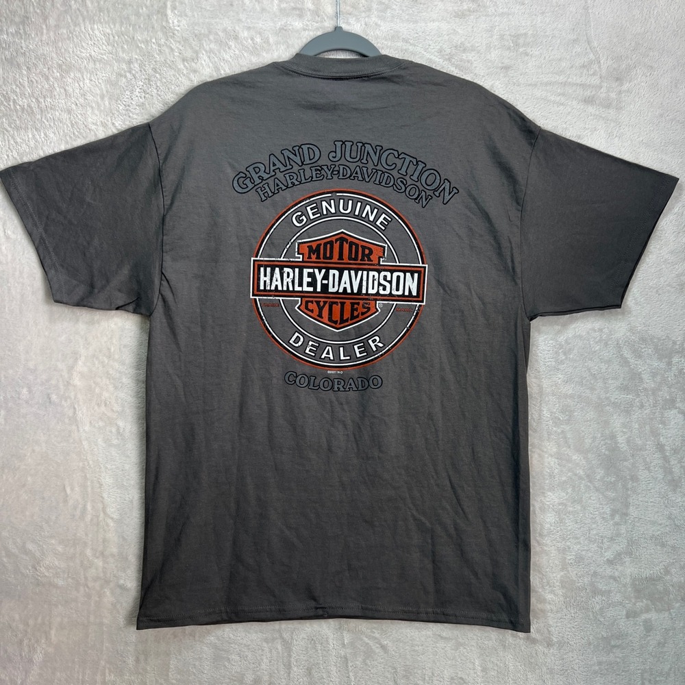 Harley Davidson Mens L Pin Up Girl Motorcycle Graphic Tee Gray Grand Junction CO - Picture 4 of 10